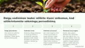 Vaistinių augalų sėja ir sodinimas 8 puslapis
