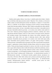 Nedarbas Lietuvoje – 2020-2022 m. 4 puslapis
