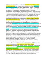 Tėvo paveikslas literatūroje. Rašinys 2 puslapis