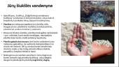 Žemė – gyvybės planeta? 19 puslapis