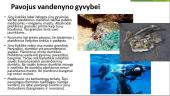 Žemė – gyvybės planeta? 20 puslapis