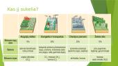 Žemė – gyvybės planeta? 7 puslapis