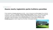 Lietuvos regioniniai parkai 12 puslapis