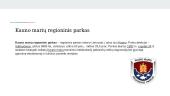 Lietuvos regioniniai parkai 9 puslapis
