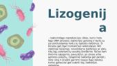 Bakteriofagai  11 puslapis