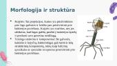 Bakteriofagai  7 puslapis