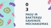 Bakteriofagai  8 puslapis