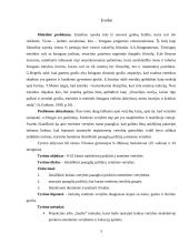 9-10 klasių mokinių požiūris į estetines vertybes 3 puslapis