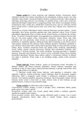 Auklėjimas šeimoje: šeimos funkcijos ir vertybės 3 puslapis