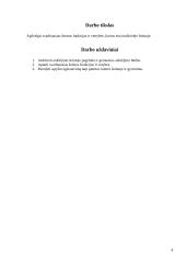 Auklėjimas šeimoje: šeimos funkcijos ir vertybės 4 puslapis