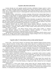 Tapatybės raiška lietuvių literatūroje