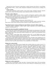 Baltijos jūra kaip išteklius rekreacinei veiklai 2 puslapis