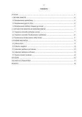 Bendruomenės veikla kaimo vietovėse: Antašavos miestelis 2 puslapis