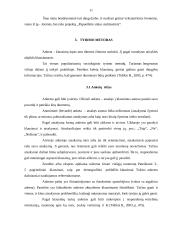 Bendruomenės veikla kaimo vietovėse: Antašavos miestelis 11 puslapis