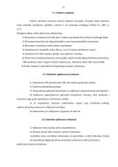 Bendruomenės veikla kaimo vietovėse: Antašavos miestelis 12 puslapis