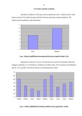 Bendruomenės veikla kaimo vietovėse: Antašavos miestelis 13 puslapis