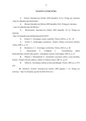 Bendruomenės veikla kaimo vietovėse: Antašavos miestelis 17 puslapis