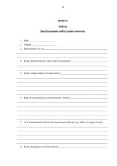 Bendruomenės veikla kaimo vietovėse: Antašavos miestelis 18 puslapis