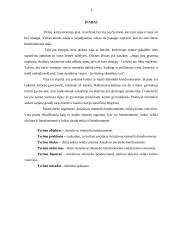 Bendruomenės veikla kaimo vietovėse: Antašavos miestelis 3 puslapis