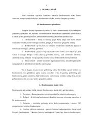 Bendruomenės veikla kaimo vietovėse: Antašavos miestelis 4 puslapis