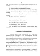 Bendruomenės veikla kaimo vietovėse: Antašavos miestelis 5 puslapis