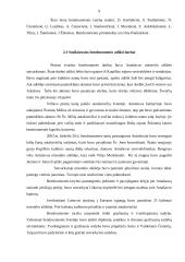 Bendruomenės veikla kaimo vietovėse: Antašavos miestelis 9 puslapis