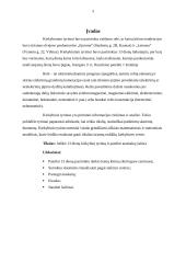 Valdymo relė 2 puslapis