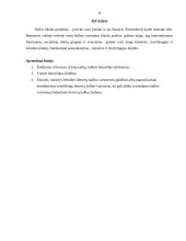 Kalbos kultūros klaidų taisymas ir apibendrinimas internetiniuose forumuose ir svetainėse. Inžinerijos specialybės kalba 11 puslapis