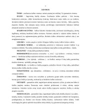 Kalbos kultūros klaidų taisymas ir apibendrinimas internetiniuose forumuose ir svetainėse. Inžinerijos specialybės kalba 3 puslapis