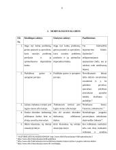 Kalbos kultūros klaidų taisymas ir apibendrinimas internetiniuose forumuose ir svetainėse. Inžinerijos specialybės kalba 7 puslapis