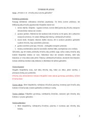 Dviratis ir aš – dviračių takų vystymo galimybės Klaipėdoje 3 puslapis