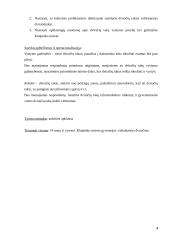 Dviratis ir aš – dviračių takų vystymo galimybės Klaipėdoje 4 puslapis