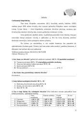 Dviratis ir aš – dviračių takų vystymo galimybės Klaipėdoje 5 puslapis