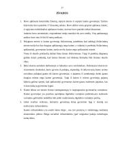 Gyvenimo lygio vertinimas: miesto ir kaimo gyvenimo lygio skirtumai 17 puslapis