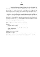 Gyvenimo lygio vertinimas: miesto ir kaimo gyvenimo lygio skirtumai 3 puslapis