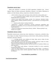 Gotų subkultūros pasaulėžiūra ir jos atspindys žiniasklaidoje 4 puslapis