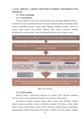 Mokinio, turinčio mokymosi sutrikimų, psichoedukacinis portretas 13 puslapis