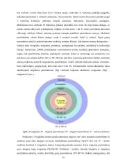 Mokinio, turinčio mokymosi sutrikimų, psichoedukacinis portretas 14 puslapis