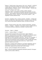 Antikos ir renesanso literatūros konspektas 2 puslapis