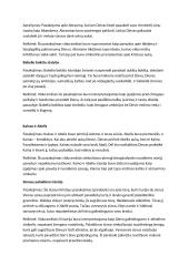 Antikos ir renesanso literatūros konspektas 4 puslapis