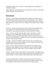 Antikos ir renesanso literatūros konspektas 6 puslapis