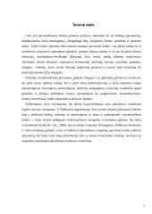 Idealaus vyro ir idealios moters samprata 2 puslapis