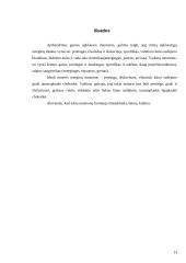 Idealaus vyro ir idealios moters samprata 13 puslapis