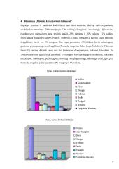 Idealaus vyro ir idealios moters samprata 7 puslapis