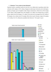 Idealaus vyro ir idealios moters samprata 8 puslapis