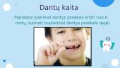Burnos ir dantų priežiūra 3 puslapis