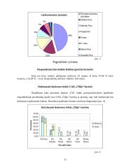 Įmonės asortimento, aplinkos bei teikiamų paslaugų kokybės įvertinimas: tinklas UAB "Čilija" 11 puslapis