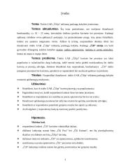 Įmonės asortimento, aplinkos bei teikiamų paslaugų kokybės įvertinimas: tinklas UAB "Čilija" 3 puslapis