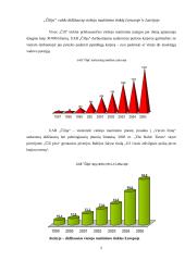 Įmonės asortimento, aplinkos bei teikiamų paslaugų kokybės įvertinimas: tinklas UAB "Čilija" 5 puslapis