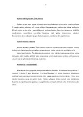 Įmonės darbuotojų motyvavimo analizė 17 puslapis